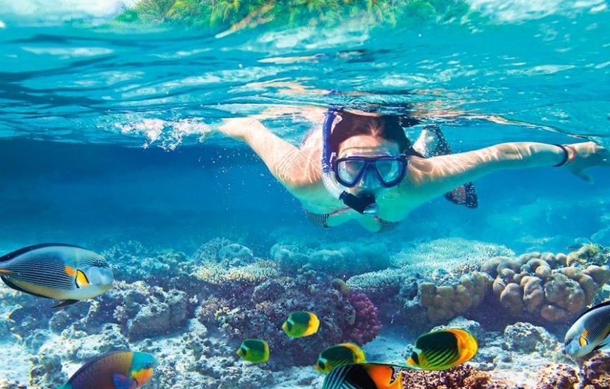 12 Days Egypt Luxury Holiday