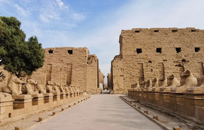 Half-Day Luxor Sightseeing Tour of Karnak &Luxor temples with Egyptologist