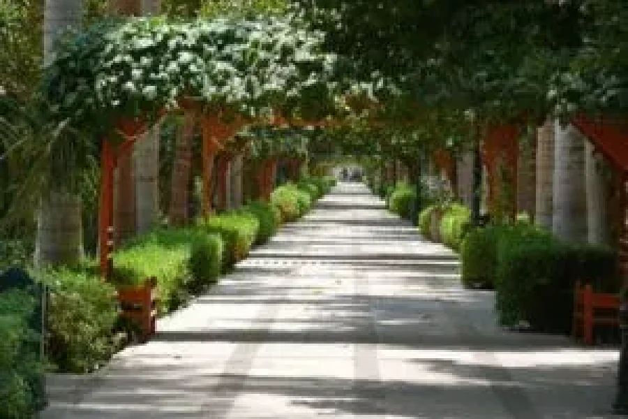 Explore Nubian Culture and Aswan’s Botanical Garden – A Cultural Journey