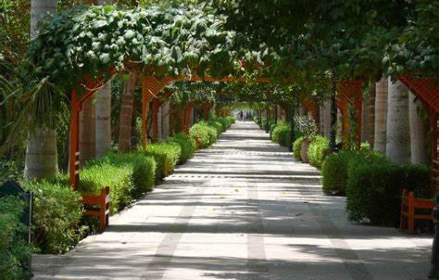 Explore Nubian Culture and Aswan’s Botanical Garden – A Cultural Journey
