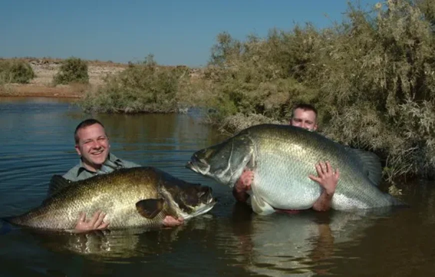 Fishing & Birdwatching on Lake Nasser – Explore the Lost Nubian Heritage