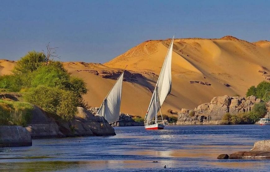 Nile Felucca or Motorboat Lunch Cruise in Aswan – Scenic 1.5-Hour Tour on the Nile
