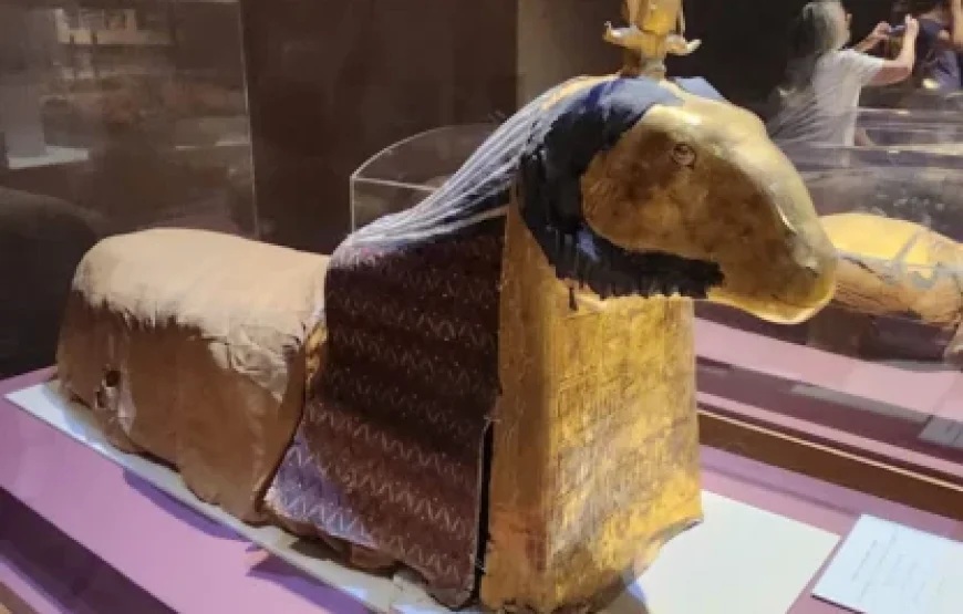 Budget-Friendly Cultural Tour to the Nubian Museum in Aswan