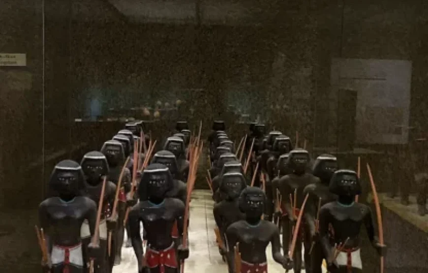 Budget-Friendly Cultural Tour to the Nubian Museum in Aswan